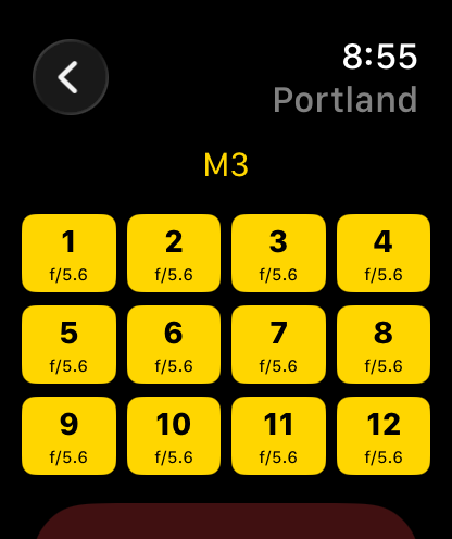 Apple Watch frame logger